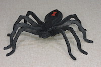 Bob Bakshis - Halloween Spider