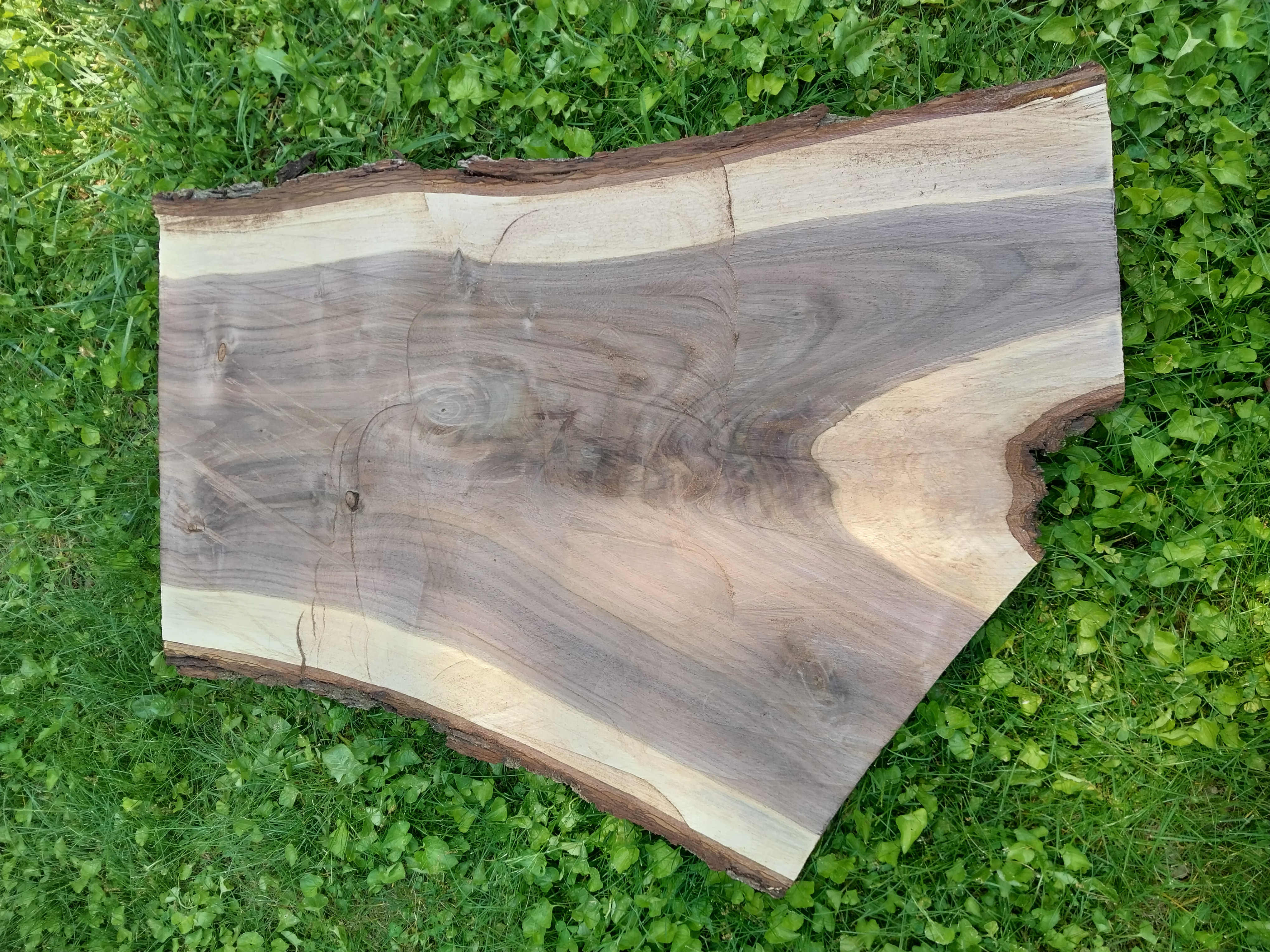 Crotch Walnut