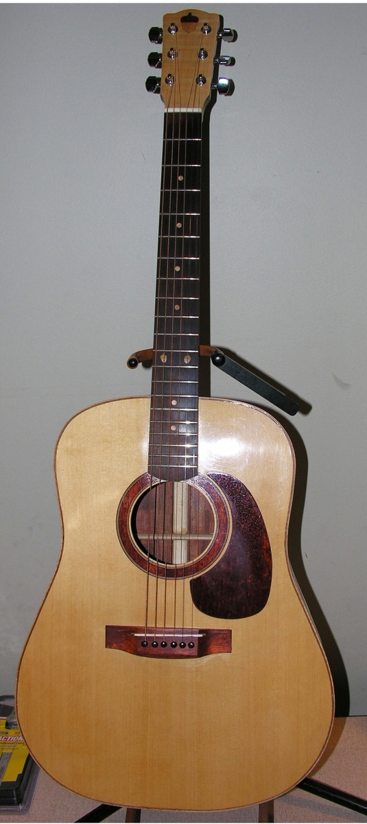 Bill Meier: Acoustic Guitar