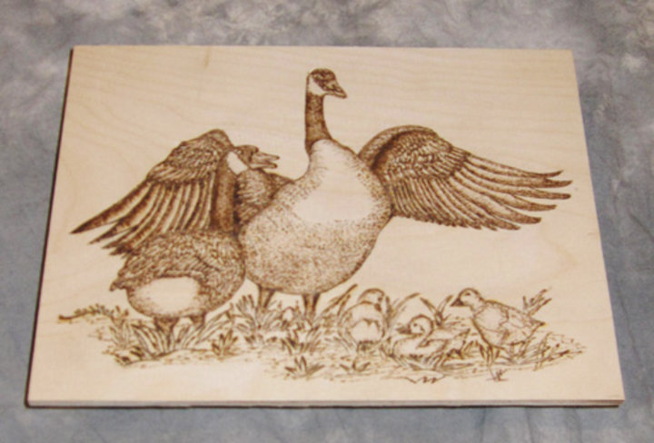 Fred Rizza: Wood Burning Picture