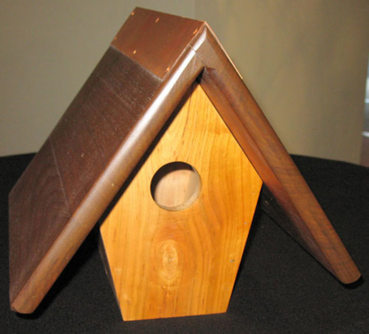 Dic Drees: Bird House