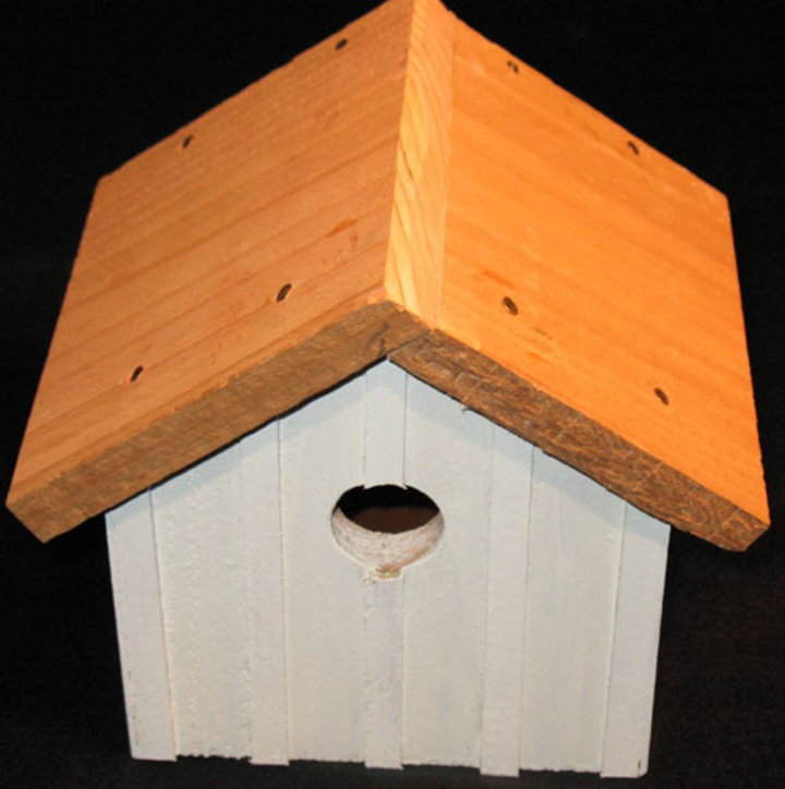 Stan Anderson: Bird House