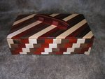 Ron Dvorsky - Segmented Box