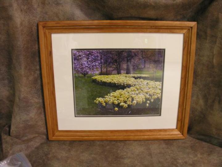 Lee Nye: Picture Frame