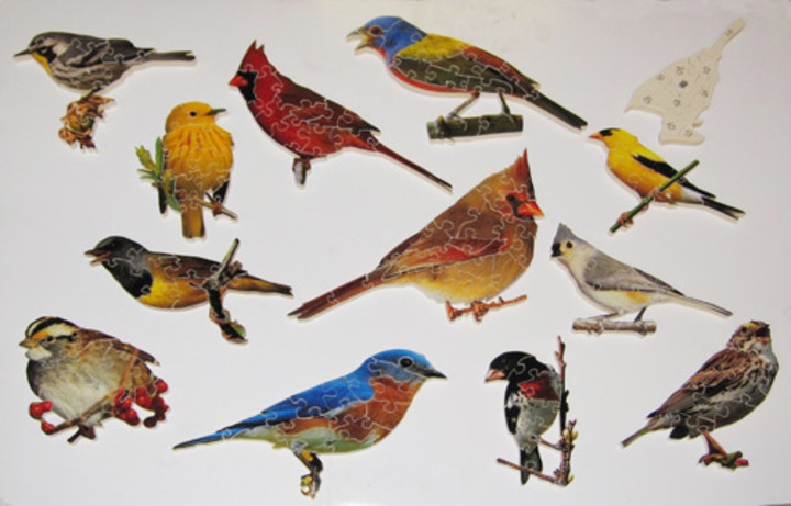 Carter Johnson: Songbirds Puzzles