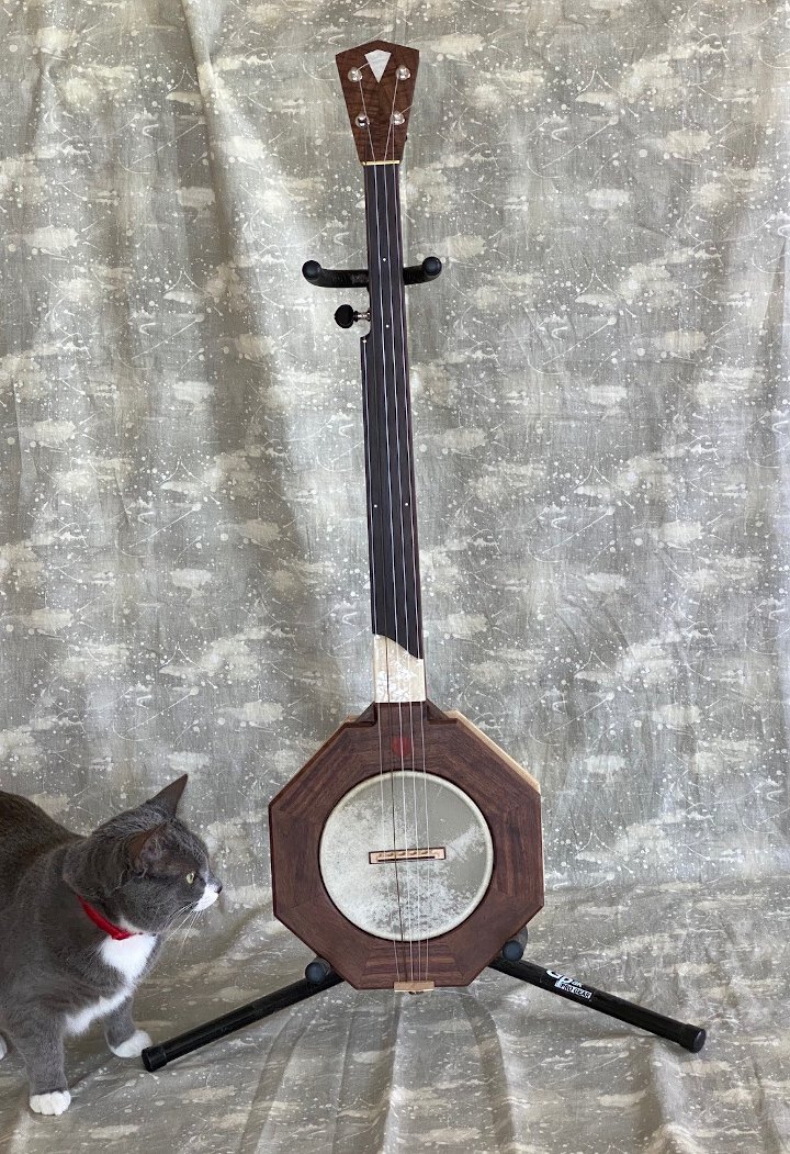 Dave Pepalis: Fretless Banjo