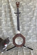 Dave Pepalis - Fretless Banjo