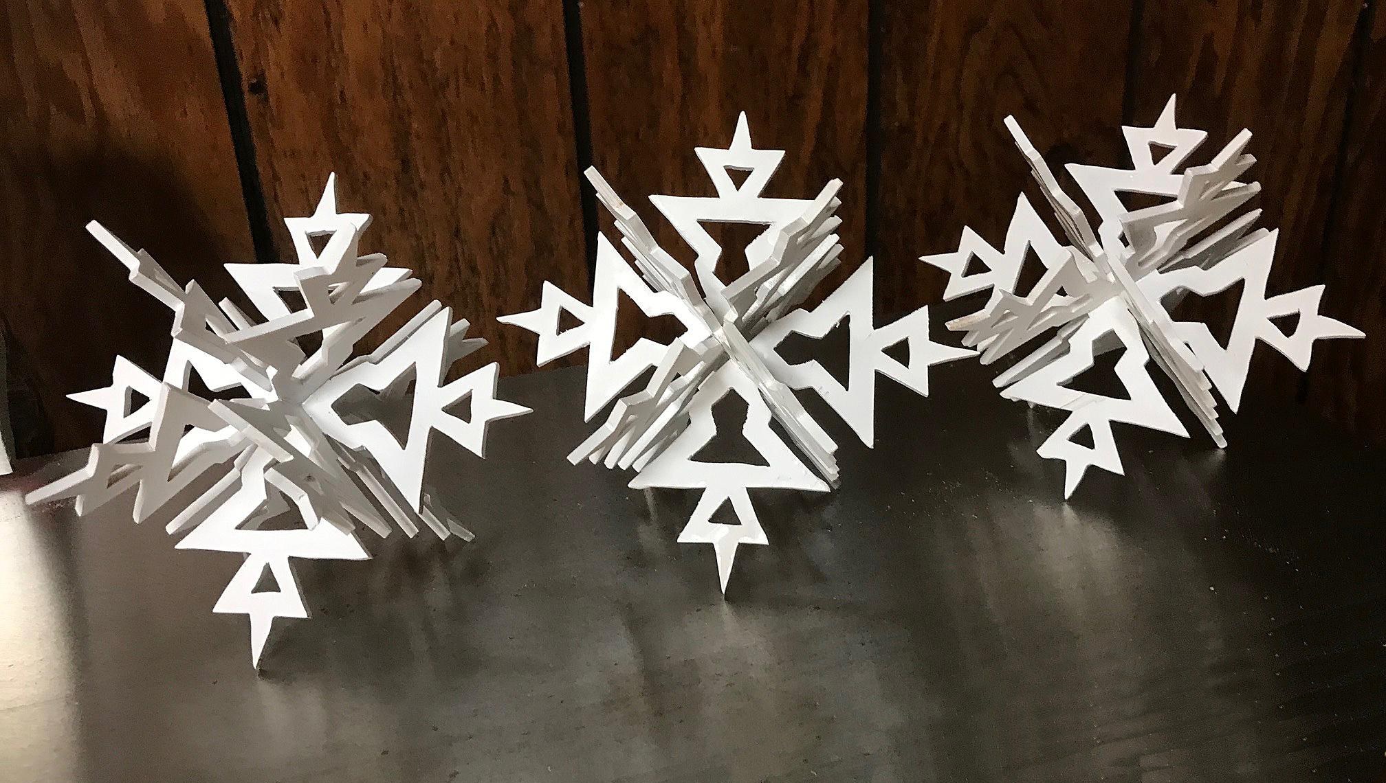 Lee Nye: Snowflakes