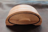 David Wesolowicz - BandSaw Box